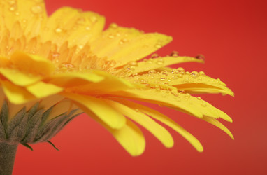 Similar image 10908057