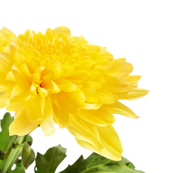 Similar image 10908068