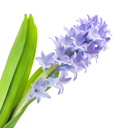 Similar image 10908069