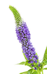 Similar image 10908078