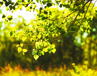 Similar image 10907810