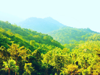 Similar image 10907848