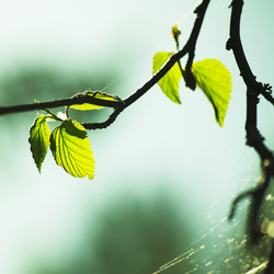 Similar image 10908062