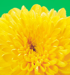 Similar image 10908090