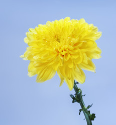 Similar image 10908091