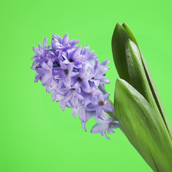 Similar image 10908095