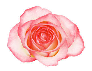 Similar image 10908105