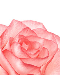 Similar image 10908106