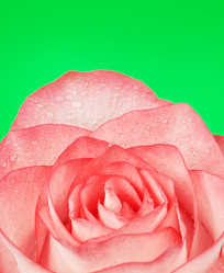 Similar image 10908122