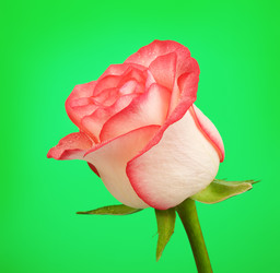 Similar image 10908123