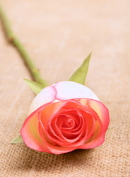 Similar image 10908125