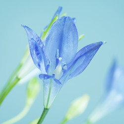 Similar image 10908127