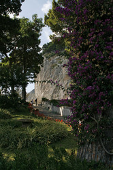 Similar image 10906902