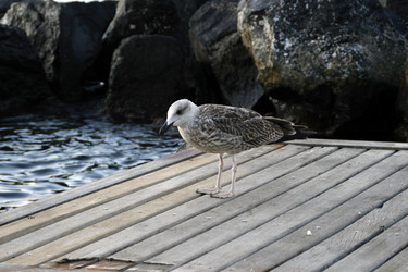 Similar image 10905456