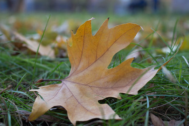 Similar image 10906565