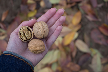 Similar image 10906566