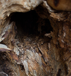 Similar image 10906570