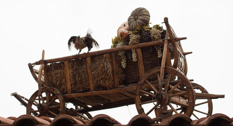 Similar image 10906583