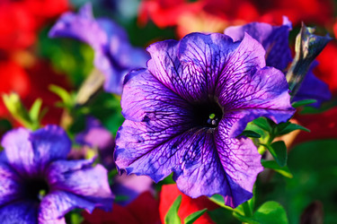 Similar image 10905368