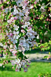 Similar image 10905370