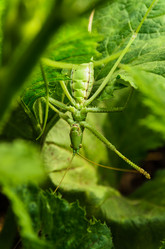 Similar image 10905389