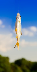 Similar image 10905393