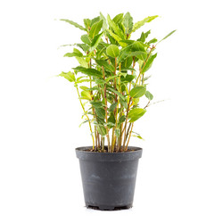 Similar image 10909661