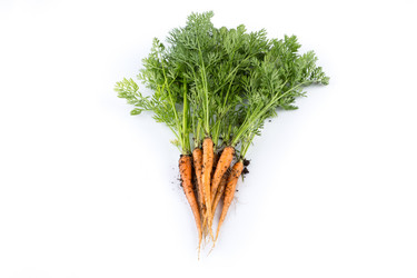 Similar image 10909686