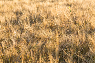 Similar image 10909728