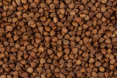 Similar image 10910816