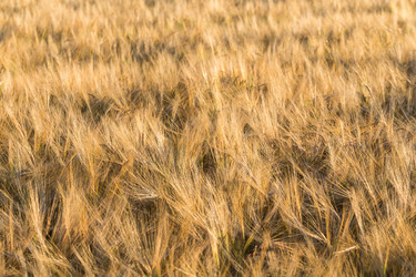 Similar image 10909542