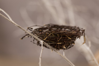 Similar image 10909563