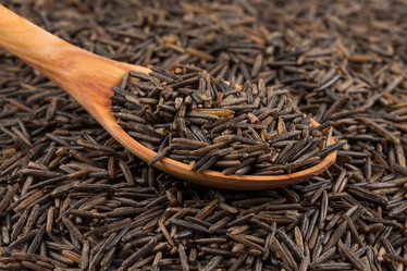 Similar image 10909566