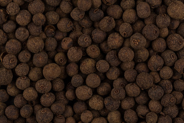 Similar image 10909572