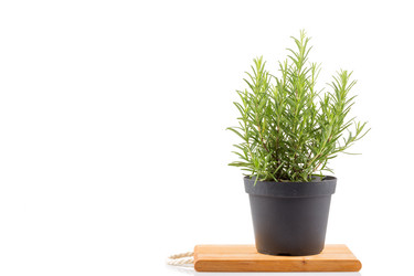 Similar image 10909634