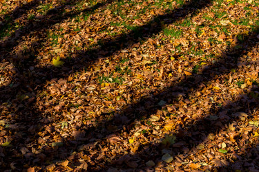 Similar image 10909641