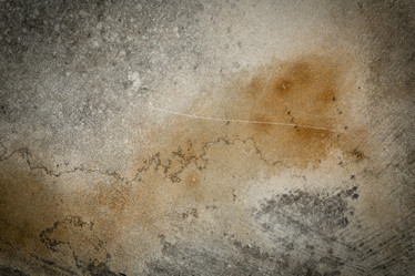 Similar image 10909700