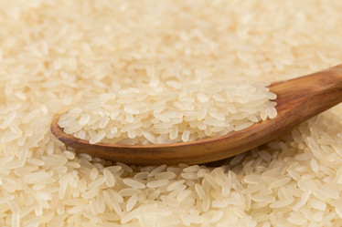 Similar image 10911006