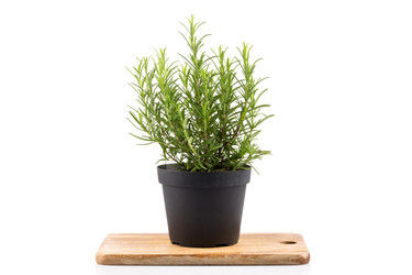 Similar image 10915712