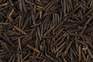 Similar image 10917048