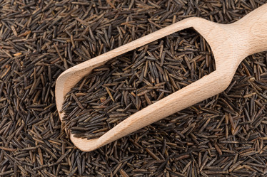 Similar image 10915801