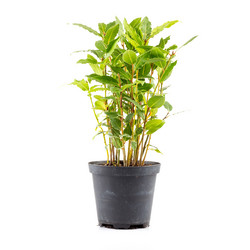 Similar image 10915885