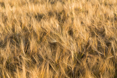 Similar image 10917000