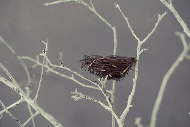 Similar image 10917034