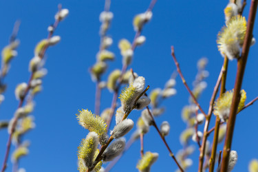 Similar image 10915770