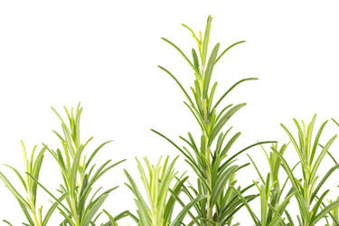 Similar image 10915865