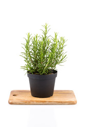 Similar image 10915888