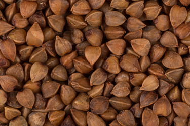 Similar image 10916081