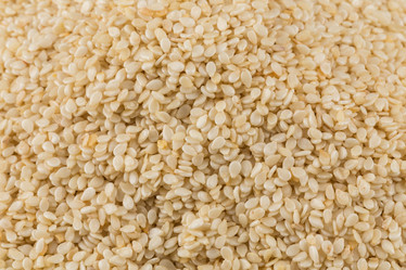 Similar image 10916154