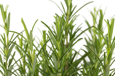 Similar image 10917123